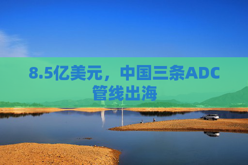 8.5亿美元，中国三条ADC管线出海