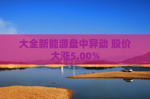 大全新能源盘中异动 股价大涨5.00%