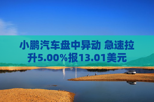 小鹏汽车盘中异动 急速拉升5.00%报13.01美元