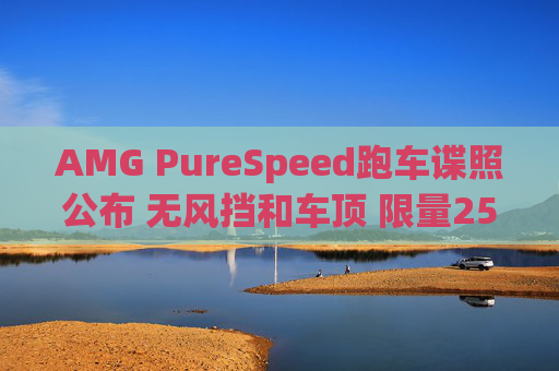 AMG PureSpeed跑车谍照公布 无风挡和车顶 限量250台