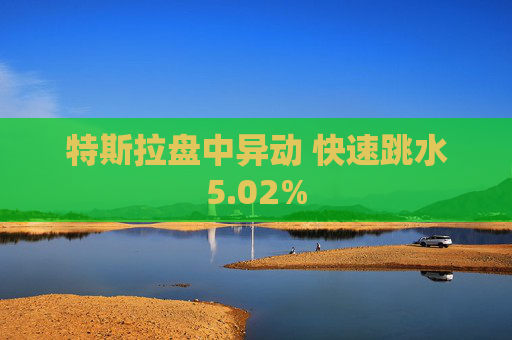 特斯拉盘中异动 快速跳水5.02%