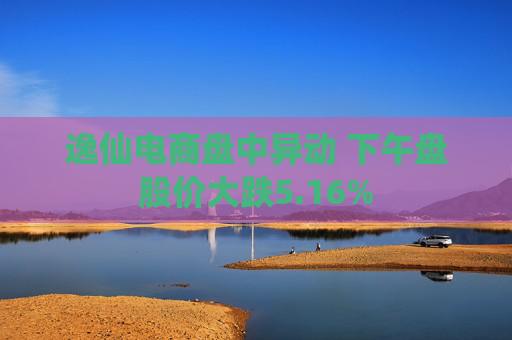 逸仙电商盘中异动 下午盘股价大跌5.16%