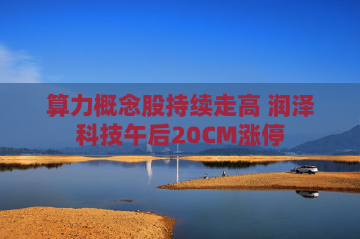 算力概念股持续走高 润泽科技午后20CM涨停