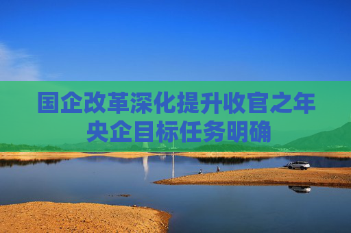 国企改革深化提升收官之年 央企目标任务明确