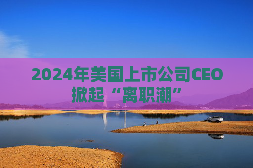 2024年美国上市公司CEO掀起“离职潮”