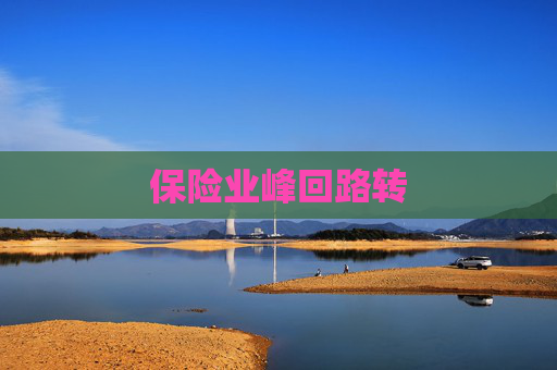 保险业峰回路转