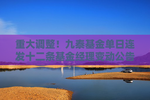 重大调整！九泰基金单日连发十二条基金经理变动公告，孟亚强、李响清仓卸任