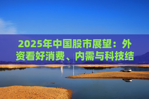 2025年中国股市展望：外资看好消费、内需与科技结构性机