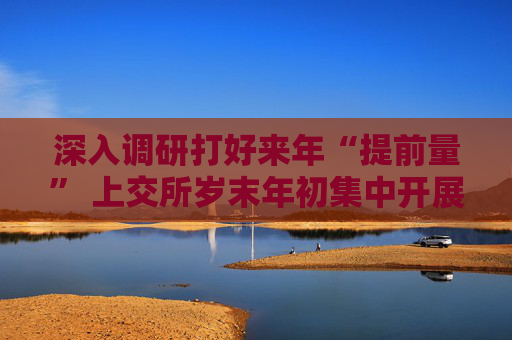 深入调研打好来年“提前量” 上交所岁末年初集中开展上市公司走访