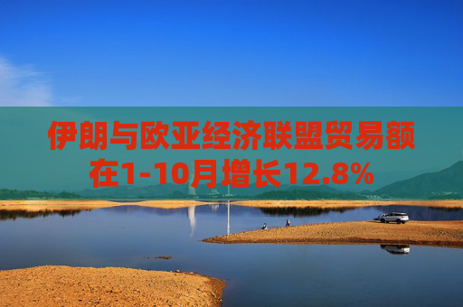 伊朗与欧亚经济联盟贸易额在1-10月增长12.8%