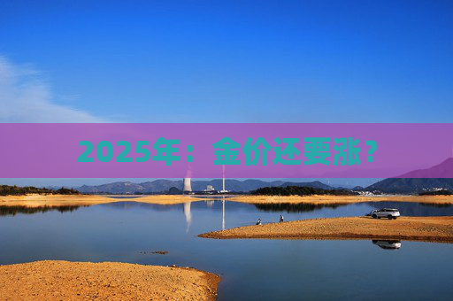 2025年：金价还要涨？