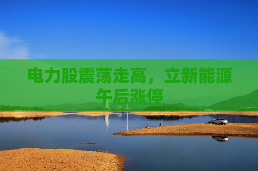 电力股震荡走高，立新能源午后涨停