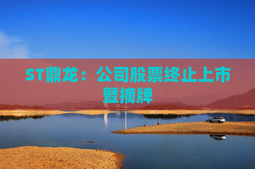 ST鼎龙：公司股票终止上市暨摘牌