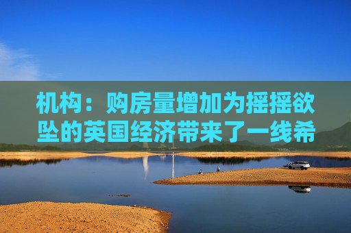 机构：购房量增加为摇摇欲坠的英国经济带来了一线希望