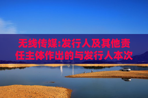 无线传媒:发行人及其他责任主体作出的与发行人本次发行上市相关的其他承诺事项
