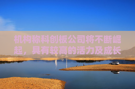 机构称科创板公司将不断崛起，具有较高的活力及成长性，借道科创50ETF（588000）布局