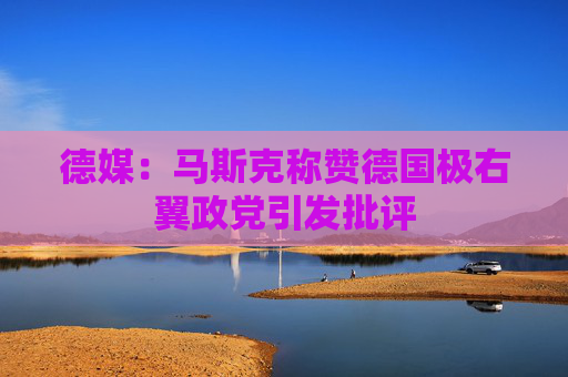 德媒：马斯克称赞德国极右翼政党引发批评