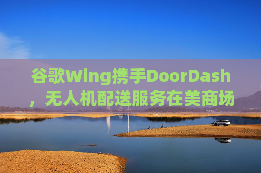谷歌Wing携手DoorDash，无人机配送服务在美商场启航