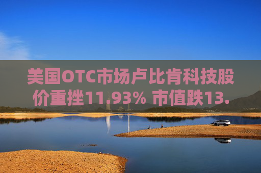 美国OTC市场卢比肯科技股价重挫11.93% 市值跌13.78万美元