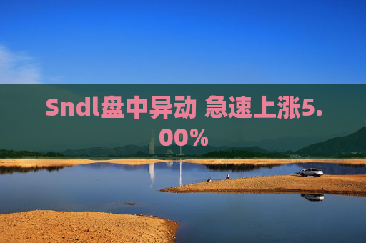 Sndl盘中异动 急速上涨5.00%