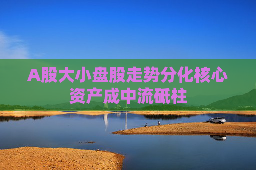 A股大小盘股走势分化核心资产成中流砥柱
