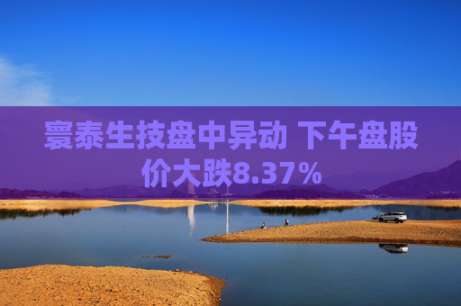 寰泰生技盘中异动 下午盘股价大跌8.37%