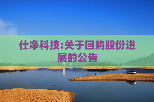 仕净科技:关于回购股份进展的公告