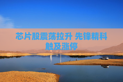 芯片股震荡拉升 先锋精科触及涨停