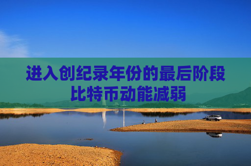 进入创纪录年份的最后阶段 比特币动能减弱