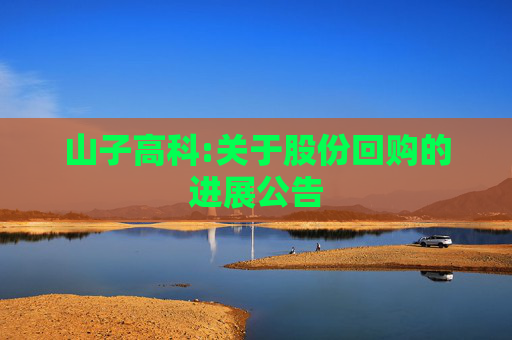 山子高科:关于股份回购的进展公告