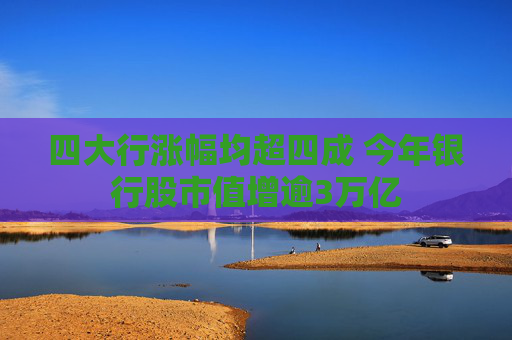 四大行涨幅均超四成 今年银行股市值增逾3万亿