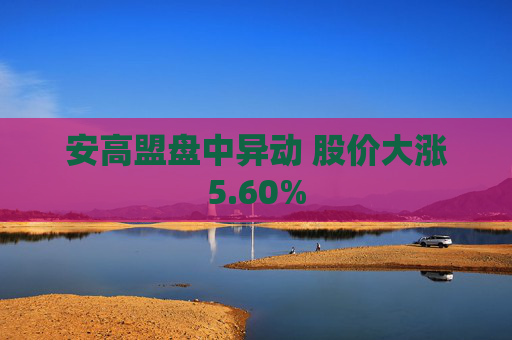 安高盟盘中异动 股价大涨5.60%