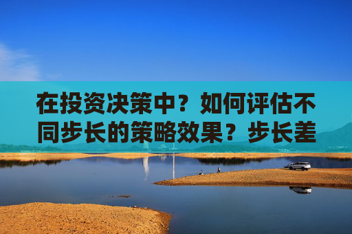 在投资决策中？如何评估不同步长的策略效果？步长差异对投资结果有何具体影响？