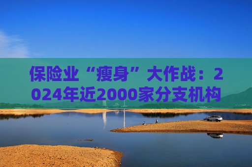 保险业“瘦身”大作战：2024年近2000家分支机构被裁撤 代理人队伍提质丨2024年中国经济观察