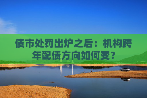 债市处罚出炉之后：机构跨年配债方向如何变？