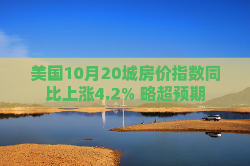 美国10月20城房价指数同比上涨4.2% 略超预期