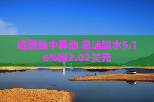 迅雷盘中异动 急速跳水5.16%报2.02美元