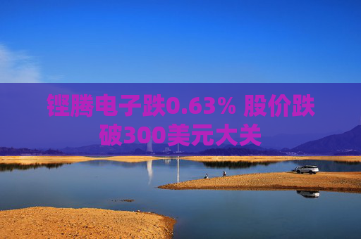 铿腾电子跌0.63% 股价跌破300美元大关