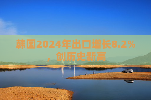 韩国2024年出口增长8.2%，创历史新高