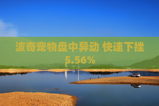 波奇宠物盘中异动 快速下挫5.56%