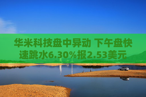 华米科技盘中异动 下午盘快速跳水6.30%报2.53美元