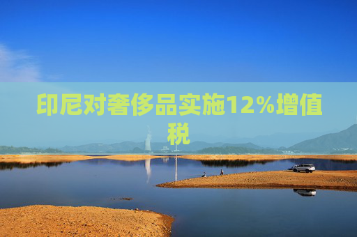 印尼对奢侈品实施12%增值税