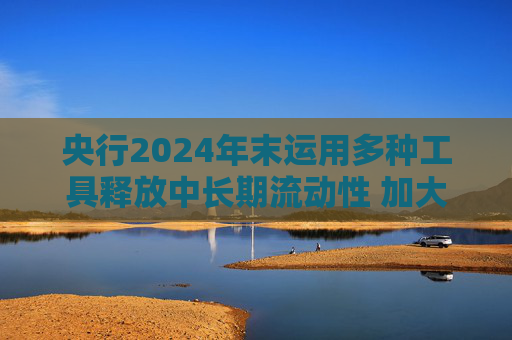 央行2024年末运用多种工具释放中长期流动性 加大货币政策逆周期调节力度