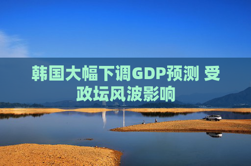 韩国大幅下调GDP预测 受政坛风波影响