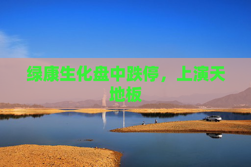 绿康生化盘中跌停，上演天地板