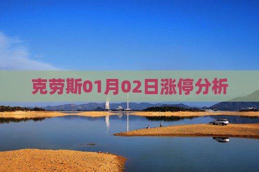 克劳斯01月02日涨停分析