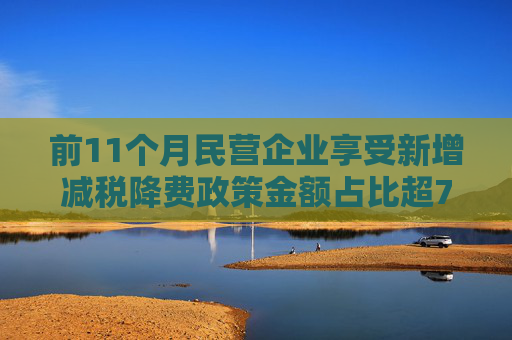 前11个月民营企业享受新增减税降费政策金额占比超70%