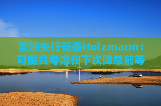欧洲央行管委Holzmann：可能会考虑在下次降息前等待更长时间