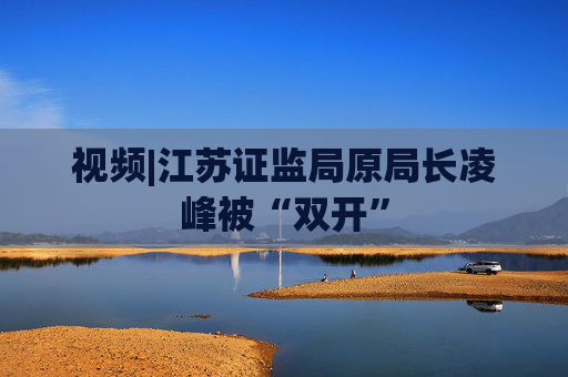 视频|江苏证监局原局长凌峰被“双开”