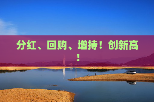 分红、回购、增持！创新高！